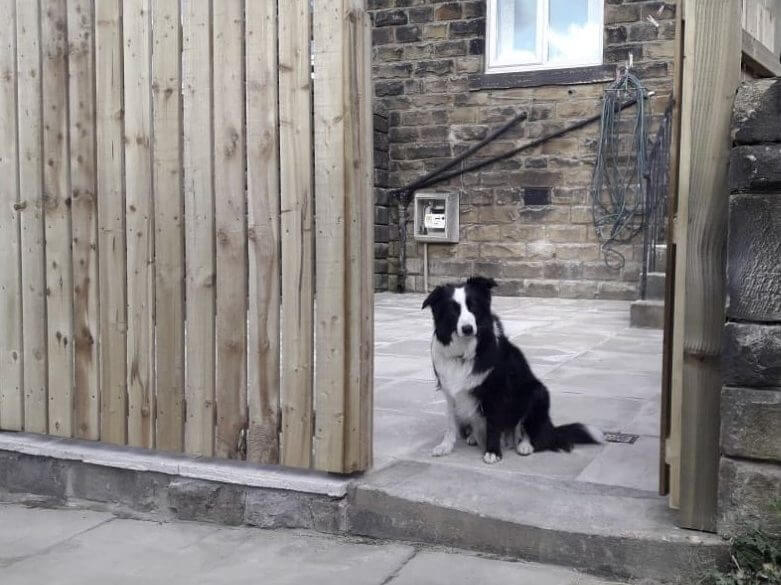Newly installed timber fencing